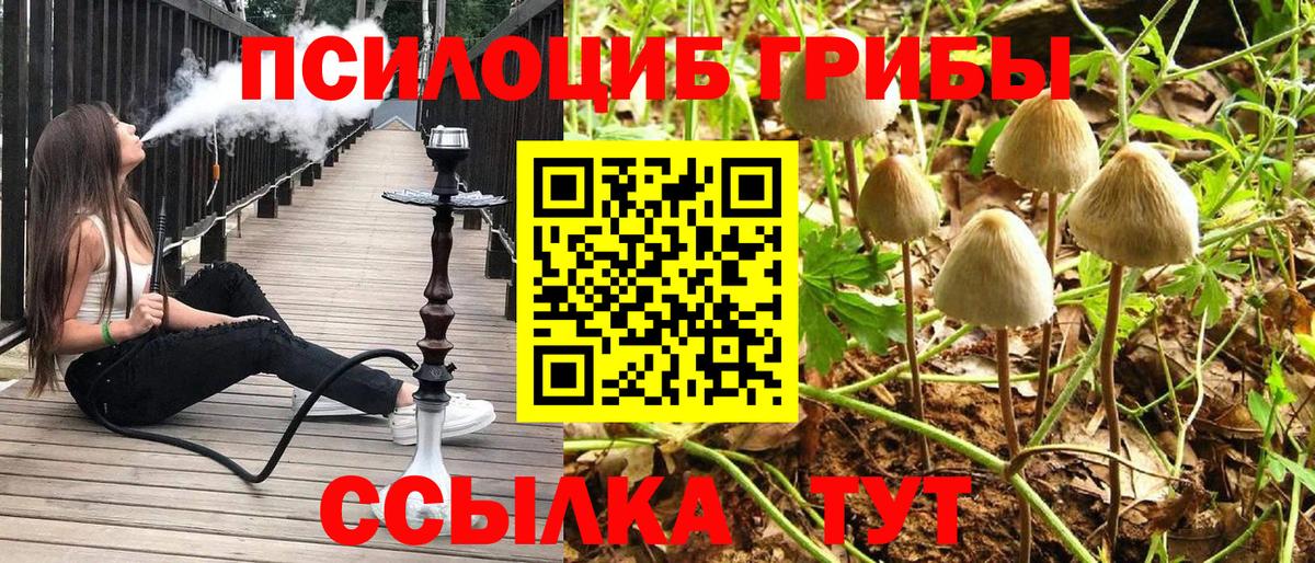 Псилоцибиновые грибы Psilocybine cubensis  Вход с VPN  Псилоцибиновые грибы мухоморы  Печора 